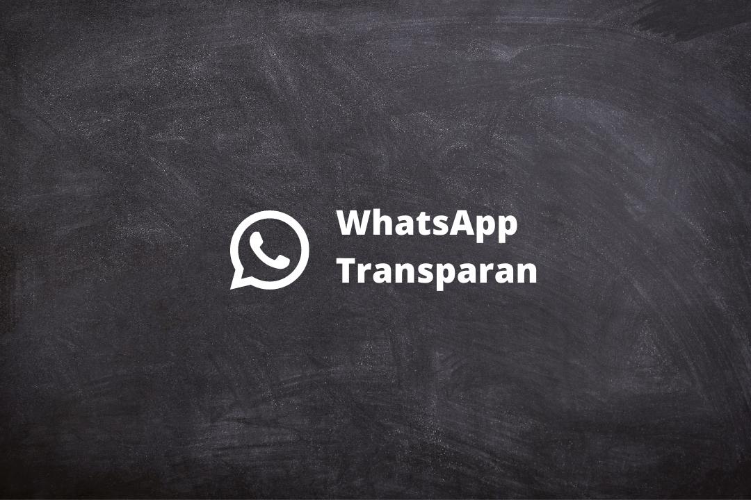Whatsapp Transparan