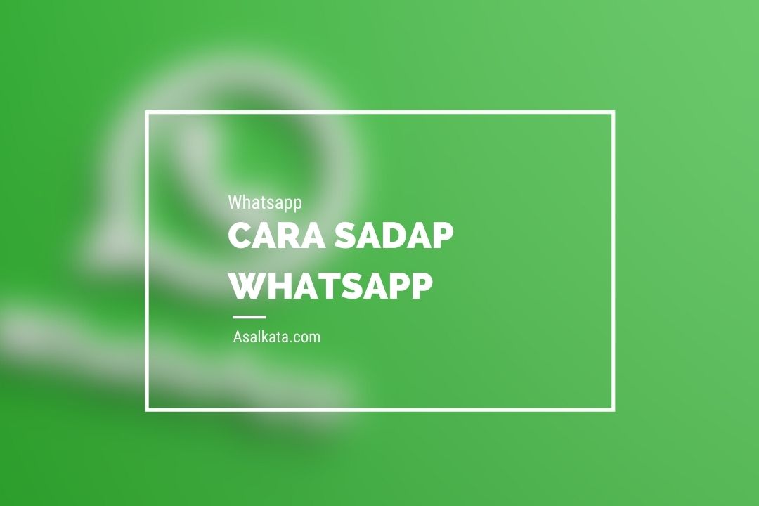 cara sadap whatsapp