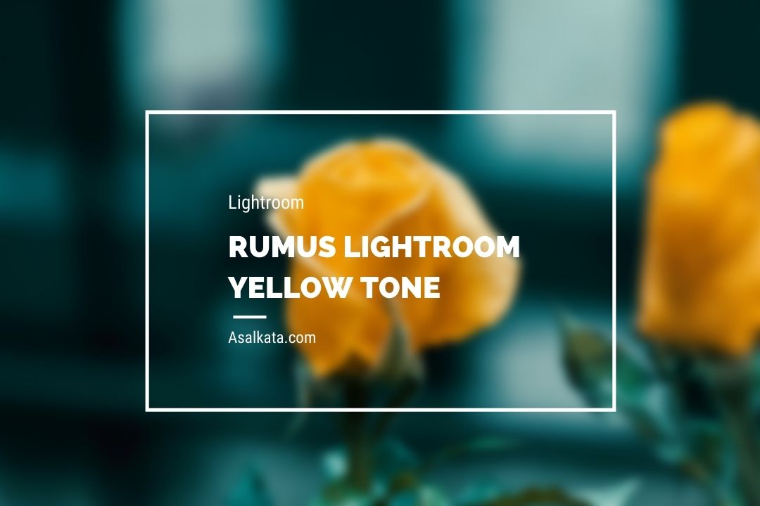 rumus lightroom yellow tone